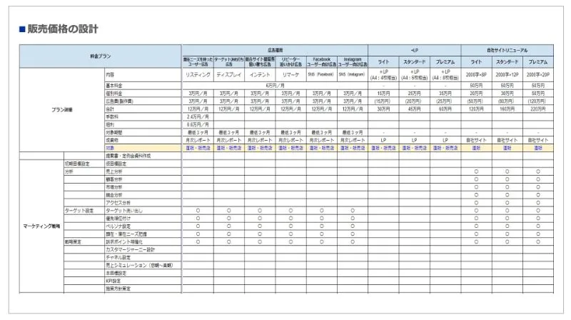 販売戦略・市場投入準備のアウトプットイメージ